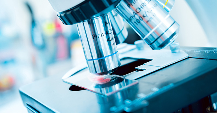 florida infectious disease